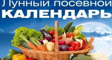 Lunární kalendář na únor 2022 pro zahradníka, příznivé dny pro výsadbu